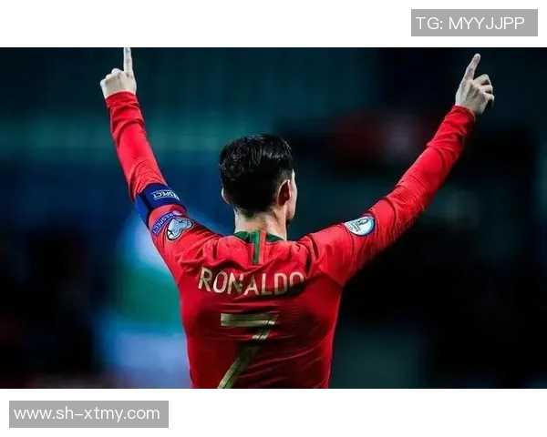 《天下足球:追球星的她们如何用热爱与坚持成就独特球迷文化》 《天下足球:追球星的她们如何用热爱与坚持成就独特球迷文化》