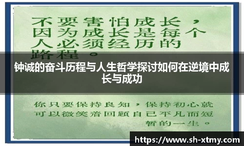 DG视讯