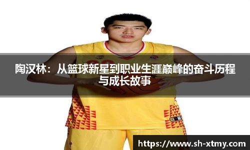 DG视讯